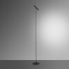 Paul Neuhaus PURE-TUTUA Floor Lamp LED black, 1-light source