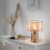 Paul Neuhaus FUNGUS Table lamp amber, 1-light source