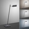 Paul Neuhaus PURE-MIRA Table lamp LED black, 1-light source, Remote control