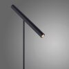 Paul Neuhaus PURE-TUTUA Table lamp LED black, 1-light source