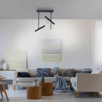 Paul Neuhaus PURE-TUTUA Ceiling Light LED black, 2-light sources