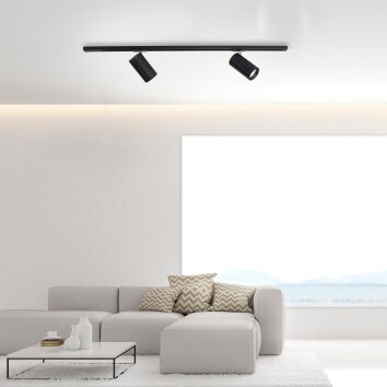 Paul Neuhaus PURE-TECHNIK track system LED black, 2-light sources