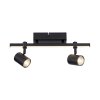Paul Neuhaus BARIK Ceiling Light LED black, 2-light sources