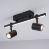 Paul Neuhaus BARIK Ceiling Light LED black, 2-light sources