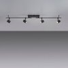 Paul Neuhaus BARIK Ceiling Light LED black, 4-light sources