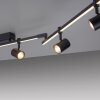 Paul Neuhaus BARIK Ceiling Light LED black, 6-light sources