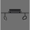 Paul Neuhaus SILEDA Ceiling Light anthracite, 2-light sources