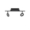 Paul Neuhaus SILEDA Ceiling Light anthracite, 2-light sources