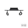 Paul Neuhaus SILEDA Ceiling Light anthracite, 2-light sources