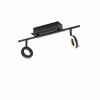 Paul Neuhaus SILEDA Ceiling Light anthracite, 2-light sources