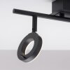 Paul Neuhaus SILEDA Ceiling Light anthracite, 2-light sources