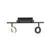 Paul Neuhaus SILEDA Ceiling Light anthracite, 2-light sources