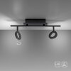 Paul Neuhaus SILEDA Ceiling Light anthracite, 2-light sources