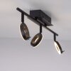 Paul Neuhaus SILEDA Ceiling Light anthracite, 3-light sources