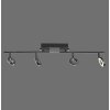 Paul Neuhaus SILEDA Ceiling Light anthracite, 4-light sources