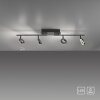 Paul Neuhaus SILEDA Ceiling Light anthracite, 4-light sources