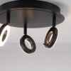 Paul Neuhaus SILEDA Ceiling Light anthracite, 3-light sources