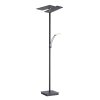 Paul Neuhaus ARTUR UpLighter LED anthracite, 1-light source