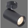 Paul Neuhaus PURE-TECHNIK Ceiling Light LED black, 1-light source