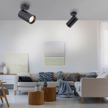 Paul Neuhaus PURE-TECHNIK Ceiling Light LED black, 1-light source