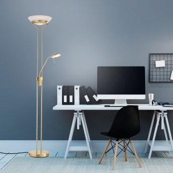 Leuchten-Direkt ZAHARA UpLighter LED brass, 2-light sources