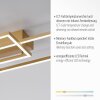 Leuchten-Direkt IVEN Ceiling Light LED brass, 2-light sources, Remote control