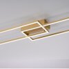 Leuchten-Direkt IVEN Ceiling Light LED brass, 2-light sources, Remote control