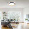Leuchten-Direkt EMILIA Ceiling Light LED grey, Ecru, 1-light source