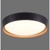 Leuchten-Direkt EMILIA Ceiling Light LED Ecru, black, 1-light source