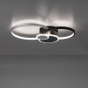 Leuchten-Direkt PAPILON Ceiling Light LED black, 1-light source