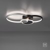 Leuchten-Direkt PAPILON Ceiling Light LED black, 1-light source