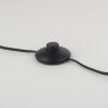 Leuchten-Direkt TINULA Floor Lamp black, 2-light sources