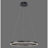 Leuchten-Direkt RITUS Pendant Light LED black, 1-light source