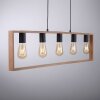 Leuchten-Direkt FRANKY Pendant Light black, 5-light sources