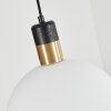 Tuvalu Pendant Light brass, black, 1-light source