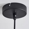 Autry Pendant Light black, 1-light source