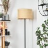 Chenevrey Floor Lamp black, 1-light source