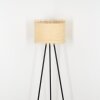 Chenevrey Floor Lamp black, 1-light source