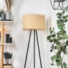 Chenevrey Floor Lamp black, 1-light source