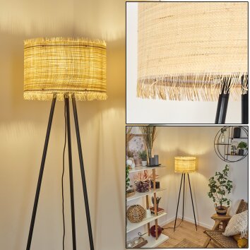 Chenevrey Floor Lamp black, 1-light source