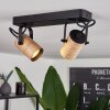 Beleco Ceiling Light Ecru, black, 2-light sources