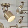 Neves Ceiling Light brass, 1-light source