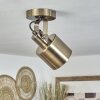 Neves Ceiling Light brass, 1-light source