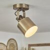 Neves Ceiling Light brass, 1-light source