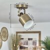 Neves Ceiling Light brass, 1-light source
