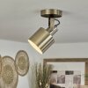 Neves Ceiling Light brass, 1-light source