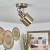 Neves Ceiling Light brass, 1-light source