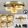 Huallilemu Ceiling Light LED brass, 3-light sources