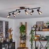 Murianette Ceiling Light Ecru, black, 6-light sources