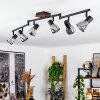 Murianette Ceiling Light Ecru, black, 6-light sources